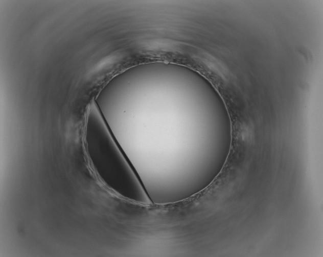 X0000114020965200910091410