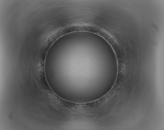 X0000114020966200910091410