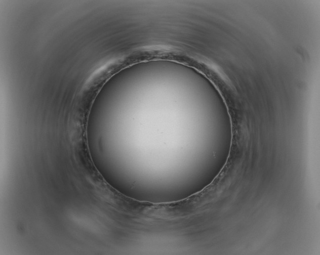 X0000114020967200910091410