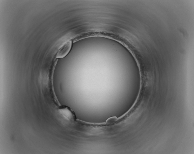 X0000114020969200910091410