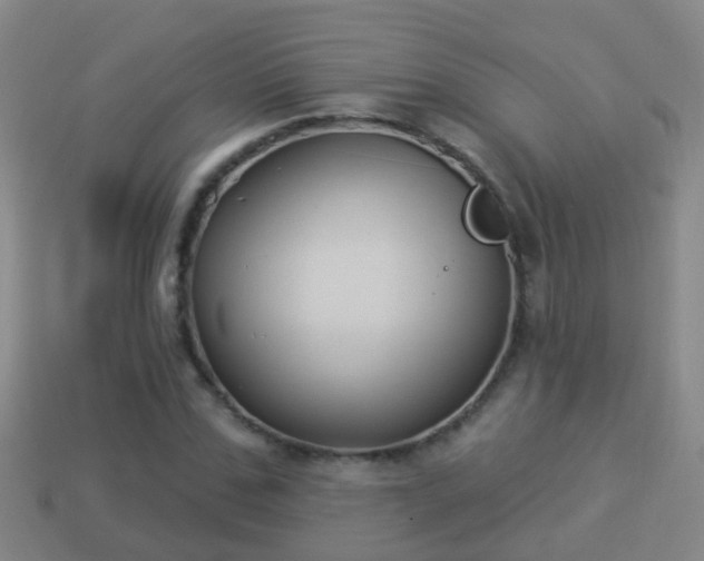X0000114020971200910091410