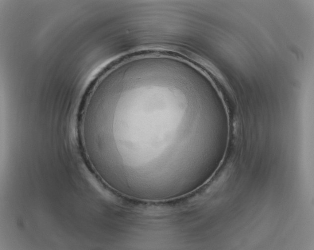 X0000114020972200910091410