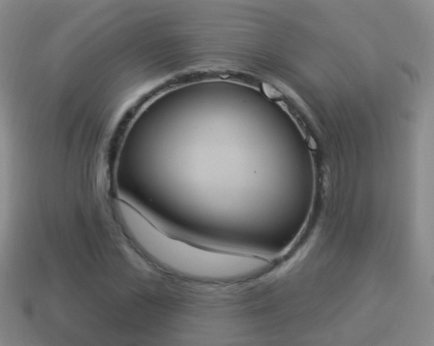 X0000114020973200910091410