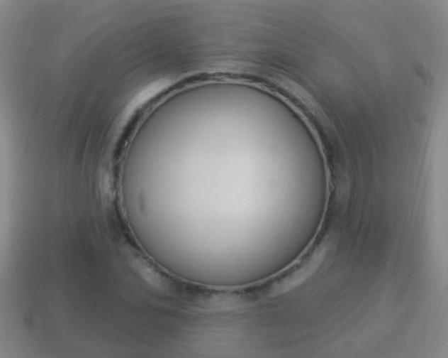 X0000114020974200910091410