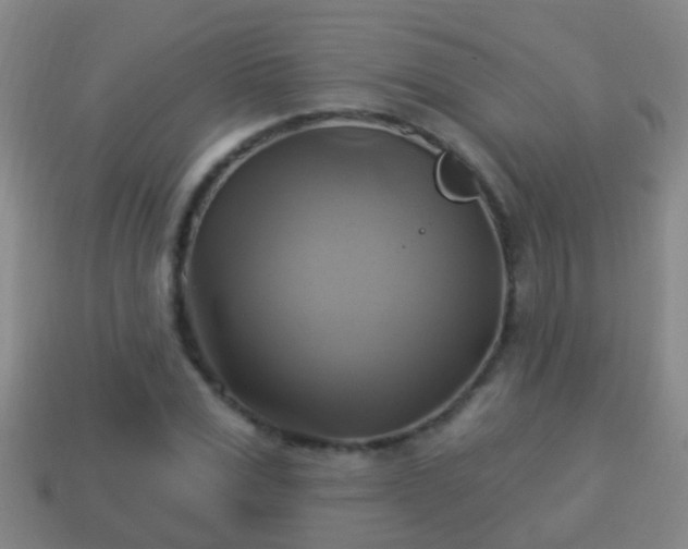 X0000114020975200910091410