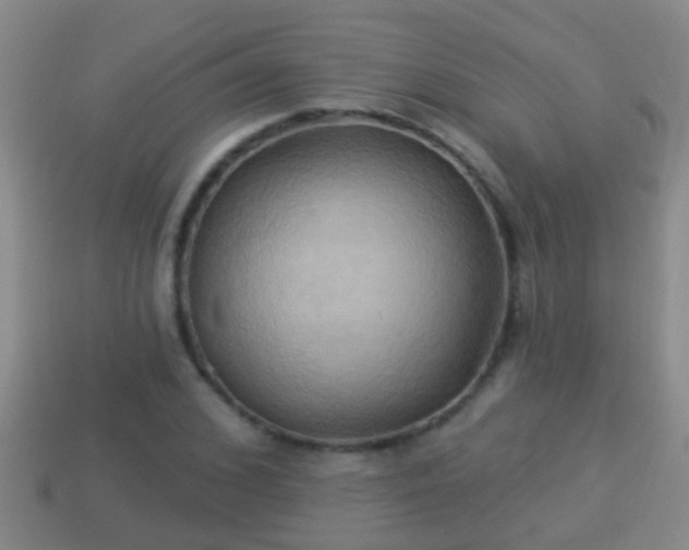 X0000114020976200910091410