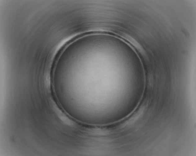 X0000114020980200910091410