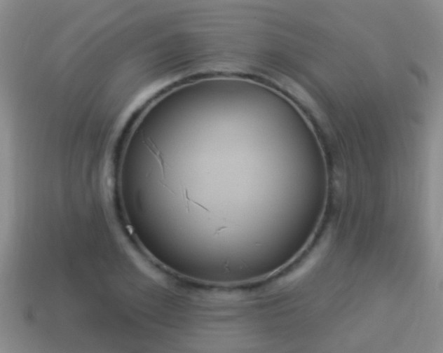 X0000114020981200910091410