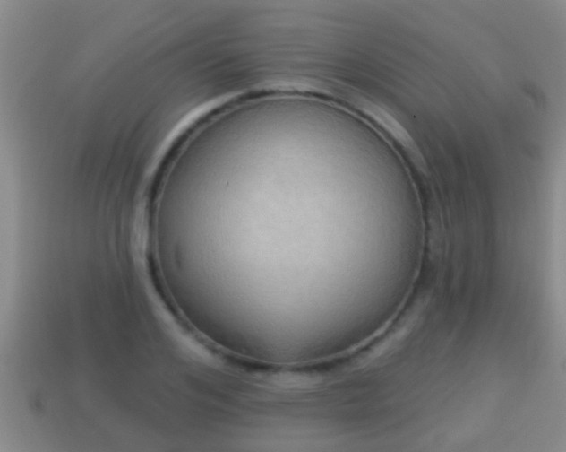 X0000114020984200910091410
