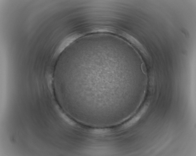 X0000114020985200910091410