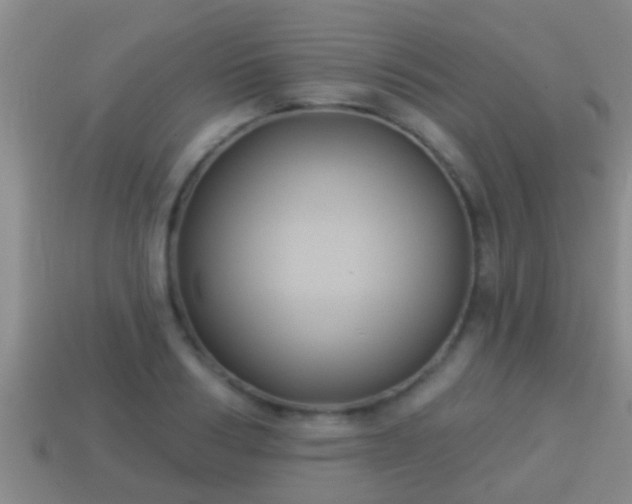X0000114020986200910091410