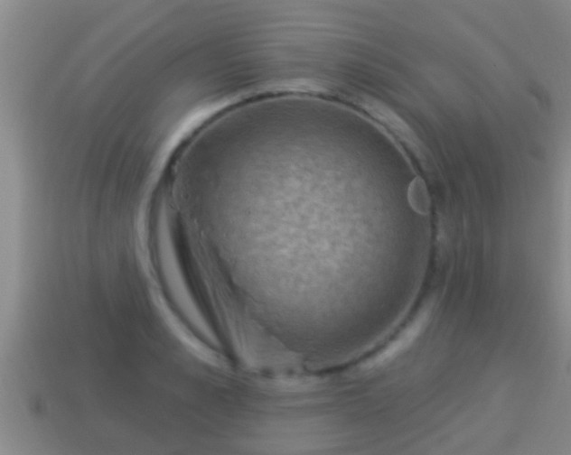 X0000114020989200910091410