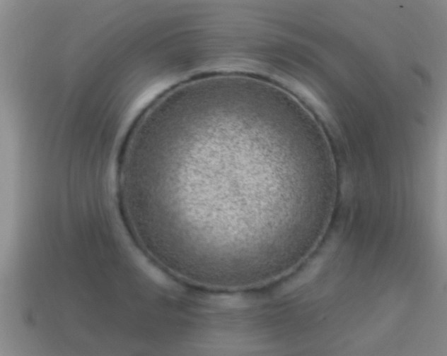 X0000114020990200910091410