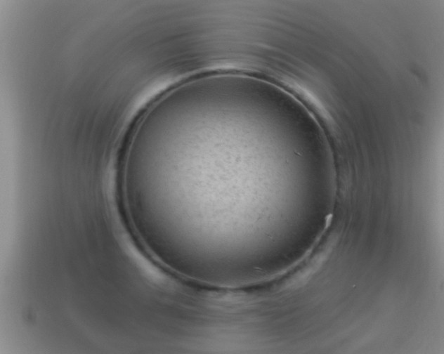 X0000114020991200910091410