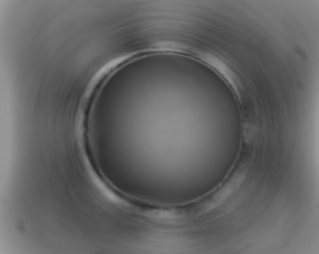 X0000114020995200910091410