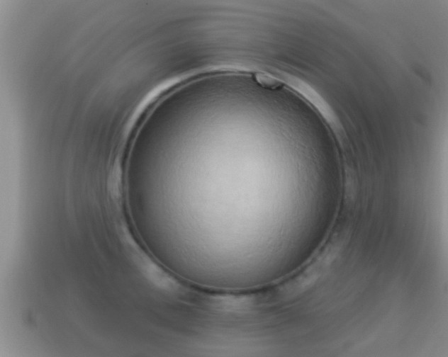 X0000114020996200910091410