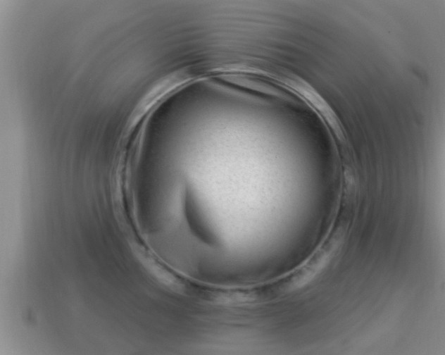 X0000114021002200910091410