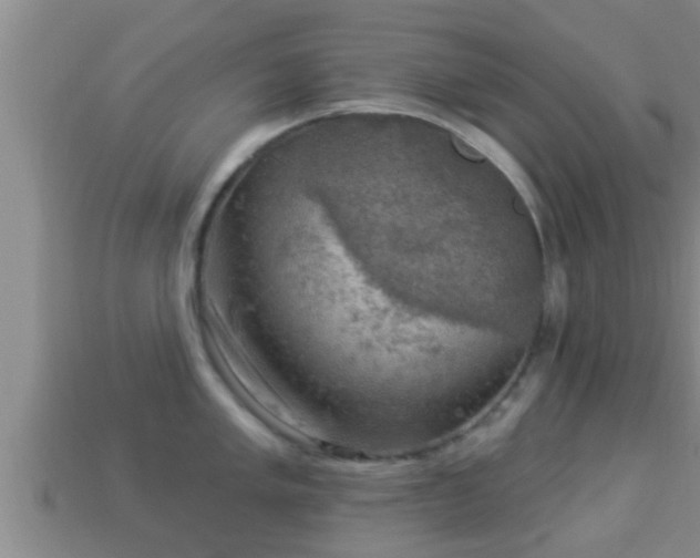 X0000114021005200910091410