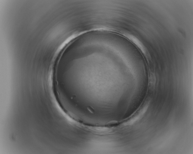 X0000114021007200910091410
