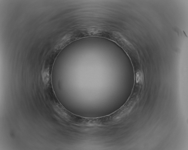 X0000114021011200910091409