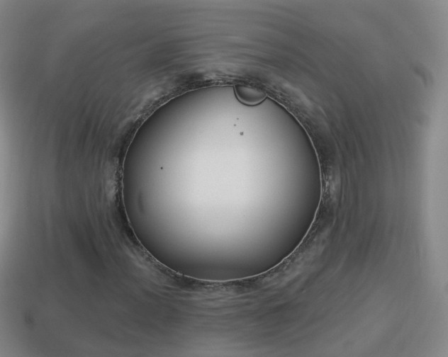 X0000114021012200910091409