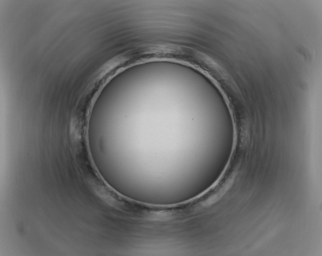 X0000114021017200910091409