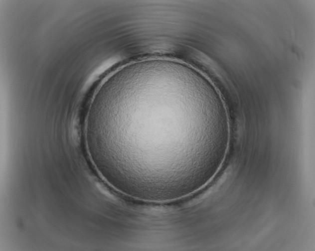 X0000114021018200910091409