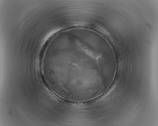 X0000114021019200910091409