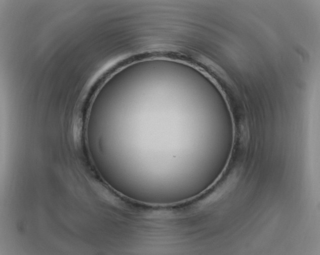 X0000114021021200910091409