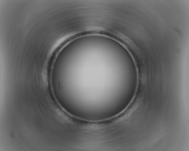 X0000114021022200910091409