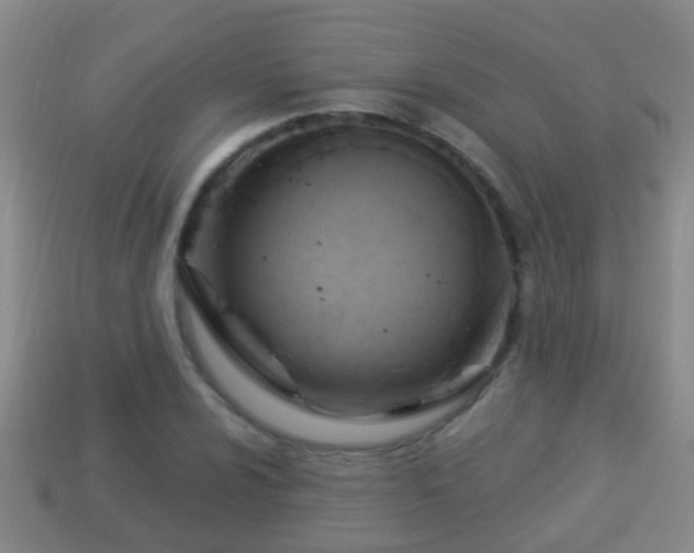 X0000114021024200910091409