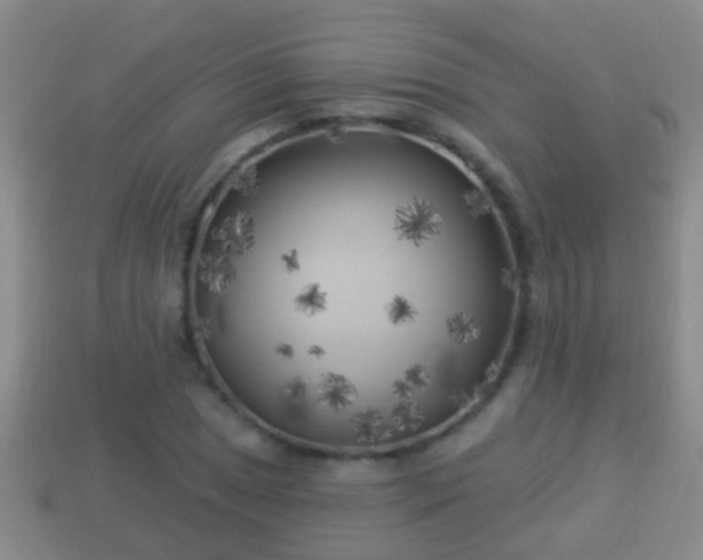 X0000114021025200910091409