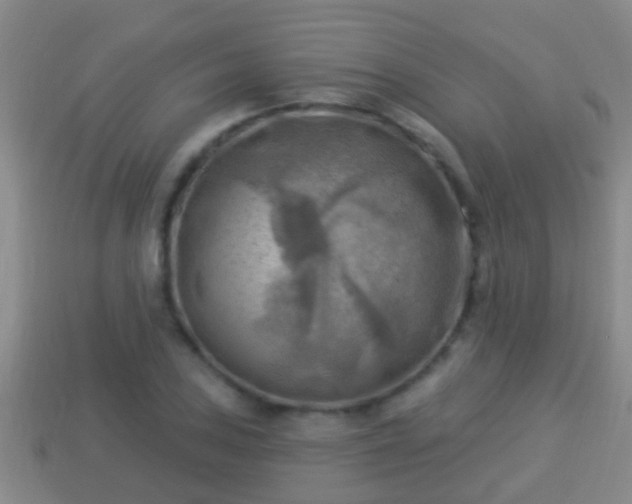 X0000114021027200910091409