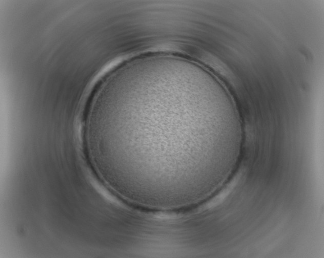 X0000114021029200910091409