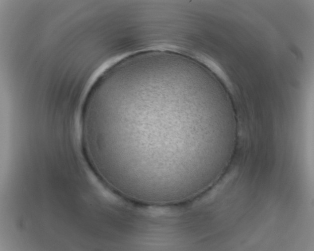 X0000114021032200910091409