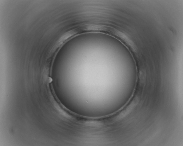 X0000114021033200910091409