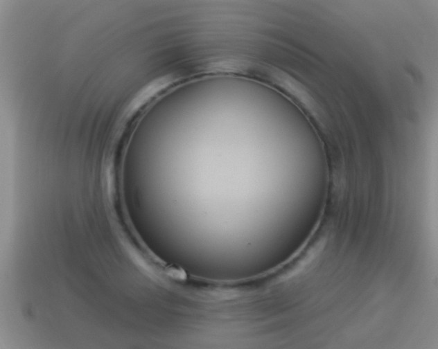 X0000114021034200910091409