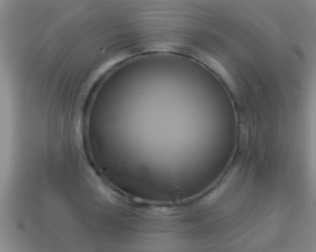X0000114021035200910091409