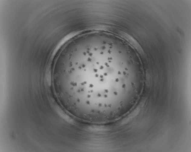 X0000114021036200910091409