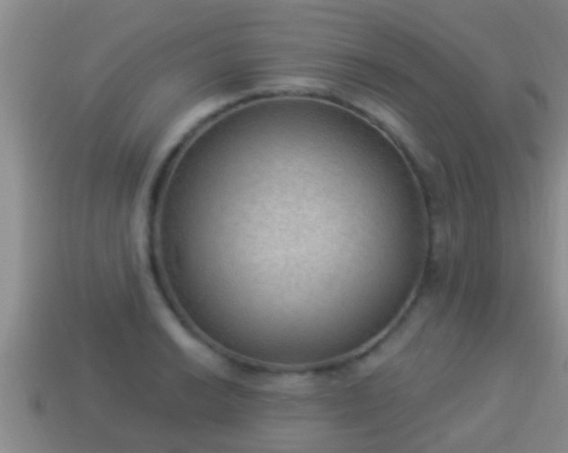 X0000114021038200910091409