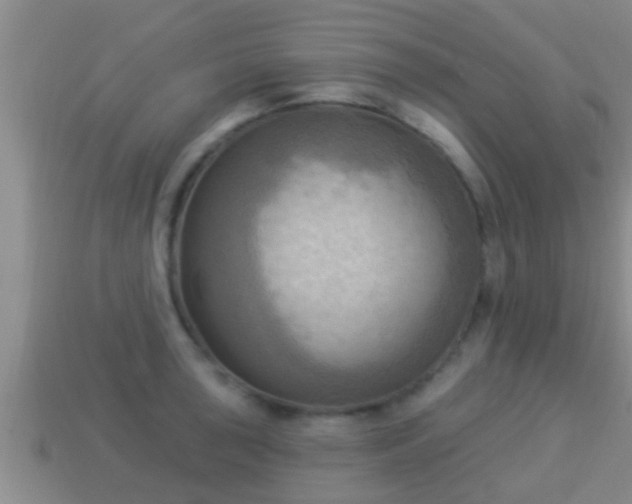 X0000114021043200910091409