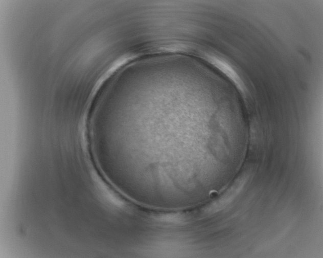 X0000114021047200910091410