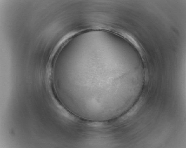 X0000114021048200910091410