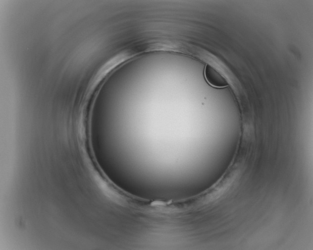 X0000114021050200910091410