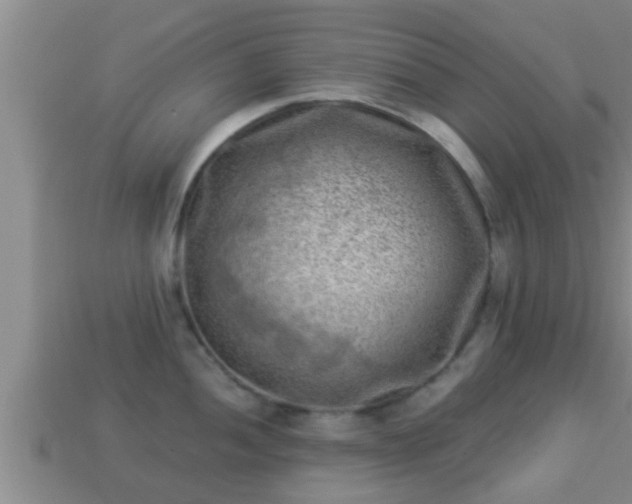 X0000114021052200910091410