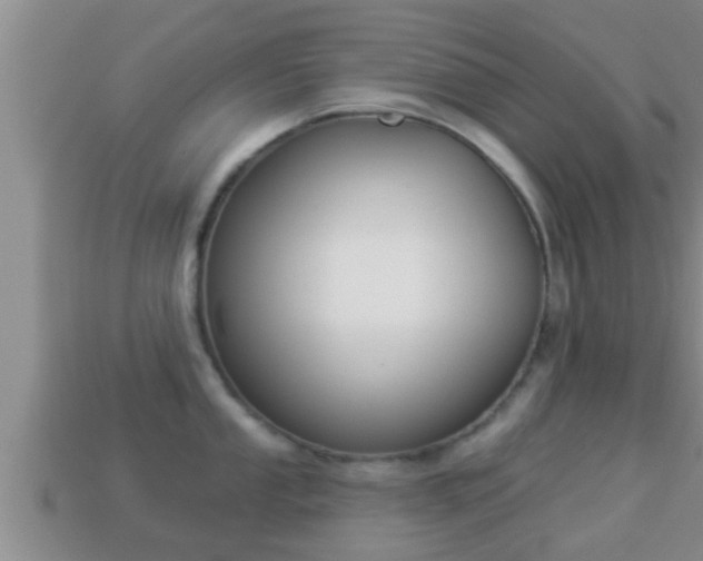 X0000114021053200910091410