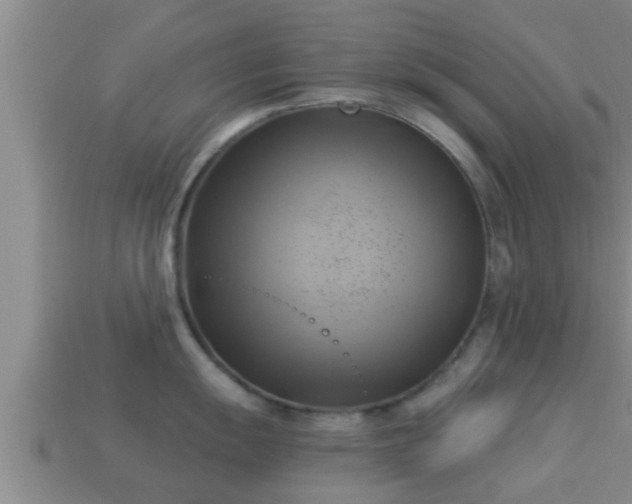 X0000114021055200910091410