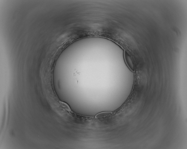 X0000114021057200910091409