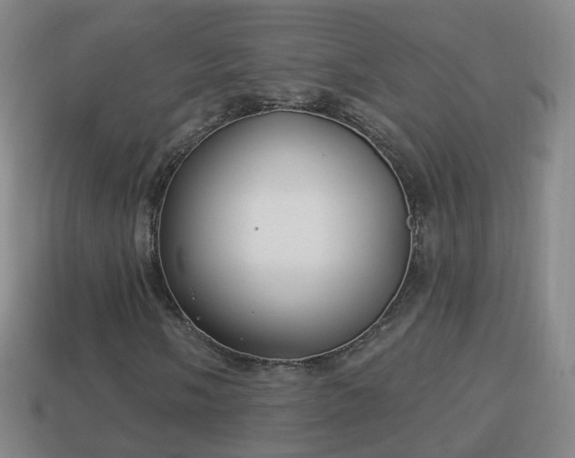 X0000114021058200910091409