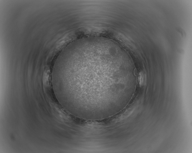 X0000114021059200910091409